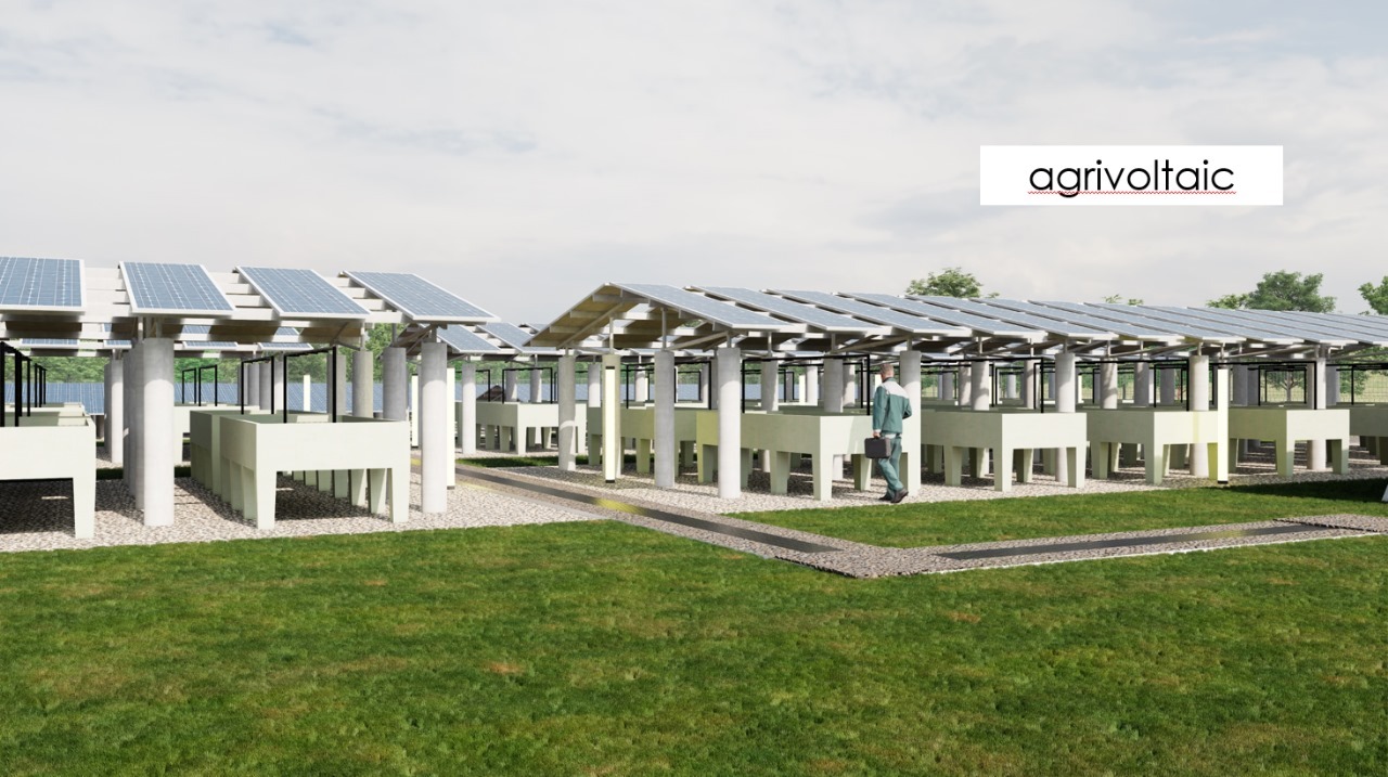 Desain Area Living Laboratory Agrivoltaic Pada Area Proyek Reidi Di Kampus Its